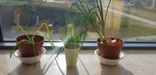 20230428_073937_1024x498